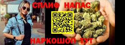 стафф Краснодар