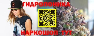 стафф Краснодар