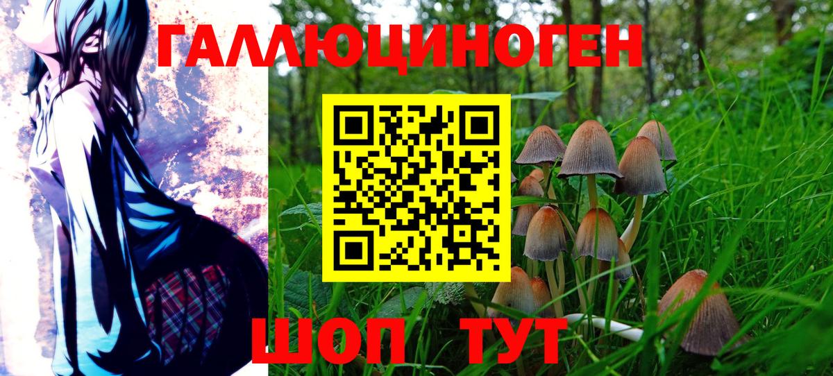 Галлюциногенные грибы Psilocybe Каменск-Уральский
