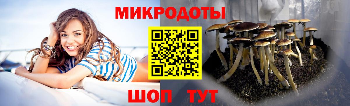цена   Псилоцибиновые грибы Psilocybe  Вход с VPN  Каменск-Уральский 
